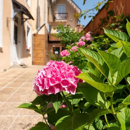 Quin Te Va 2* كوتيريه