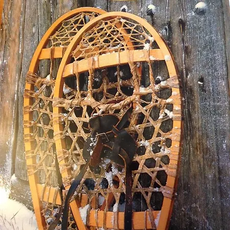 Quin Te Va كوتيريه